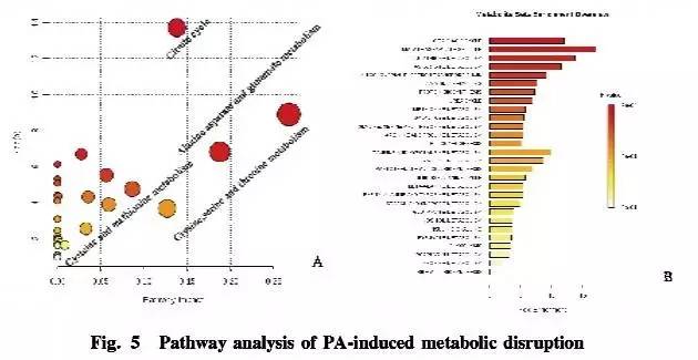 糖尿病肾病机制研究进展,糖尿病患者的代谢紊乱及其机制