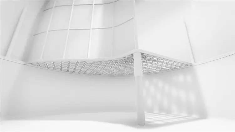 盘点那些实用的宠物生活用品,猫狗最实用的宠物用品