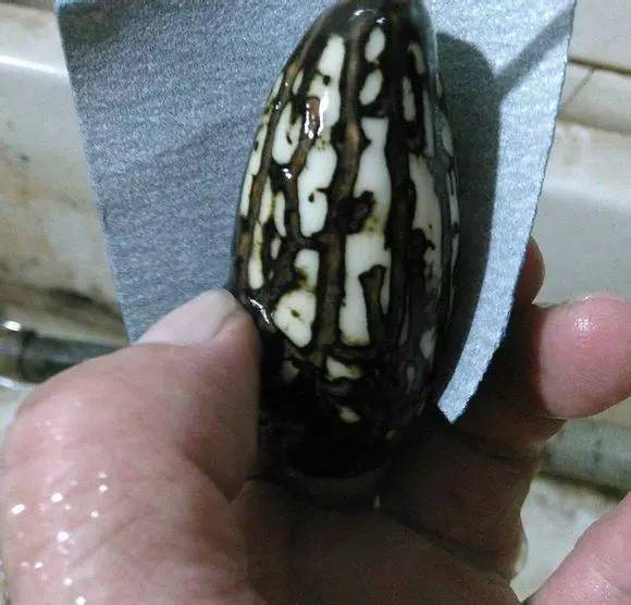 千眼菩提子打磨机器,千眼菩提打磨两头尖