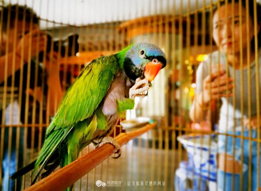 沈阳博物馆美食推荐,沈阳博物馆附近有什么好吃的地方