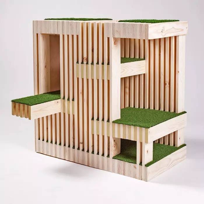 盘点那些实用的宠物生活用品,猫狗最实用的宠物用品