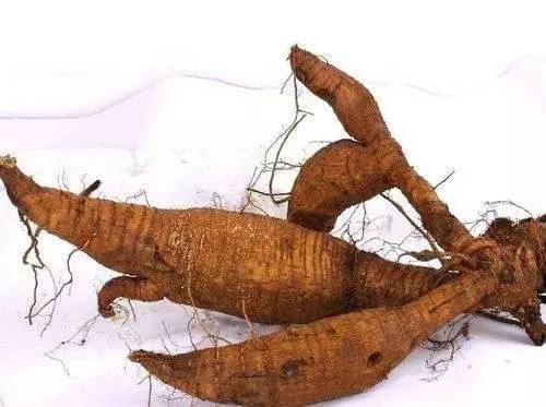 降三高的五味中药茶,中药茶降三高