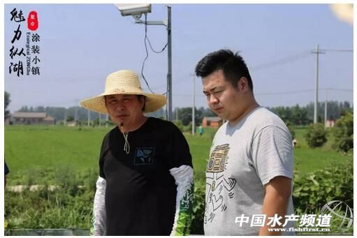 泥鳅养殖技术的最新视频,泥鳅养殖技术和视频