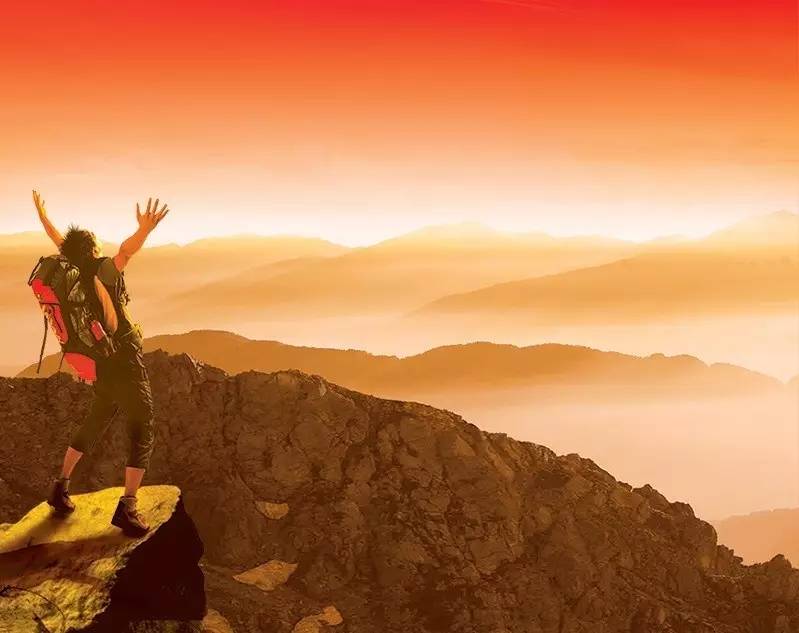 颠覆你想法的七步路，少一步不行，换一步不通！在种业混，没那么简单