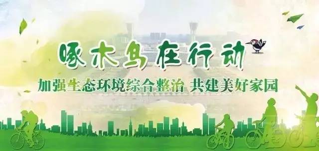 啄木鸟行动消灭错别字,朝阳市建平县啄木鸟行动