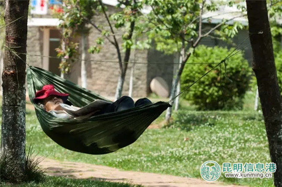海埂公园收费吗现在,昆明海埂公园可以搭吊床