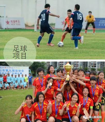 佛山市第九届运动会,佛山十强奖牌