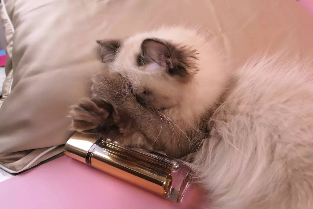 深扒杨幂胡歌,深扒杨幂20年演艺历程