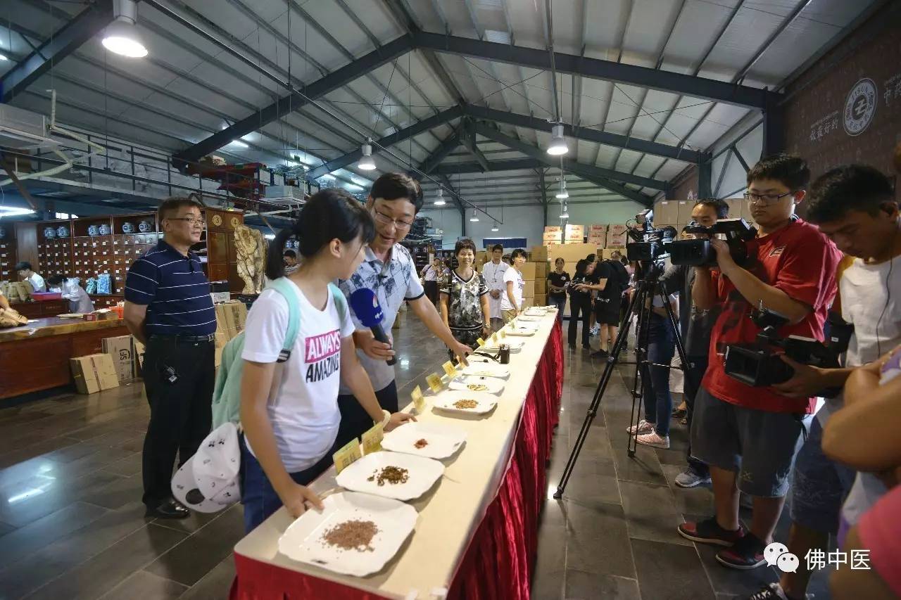 跟着大师学习中医的经历,学中医带你体会中医12堂课