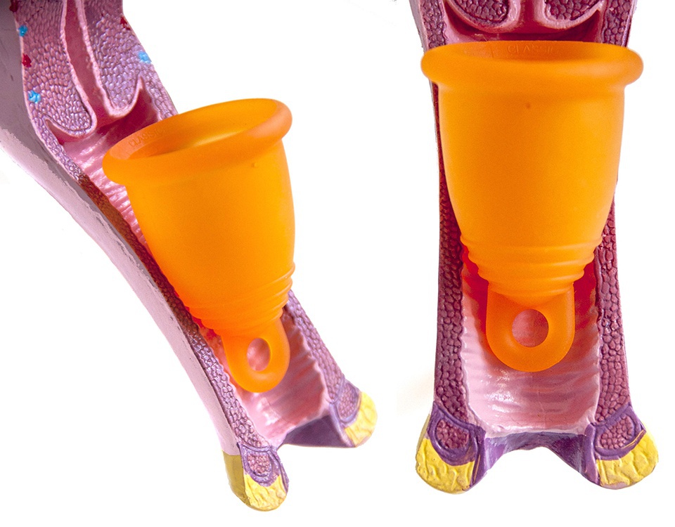 豆瓣日记:关于月亮（杯）的一切：祝你有一个环保愉快的经期