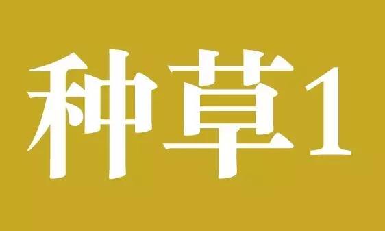 用了30支化妆水后，我最爱的竟然是30块的……