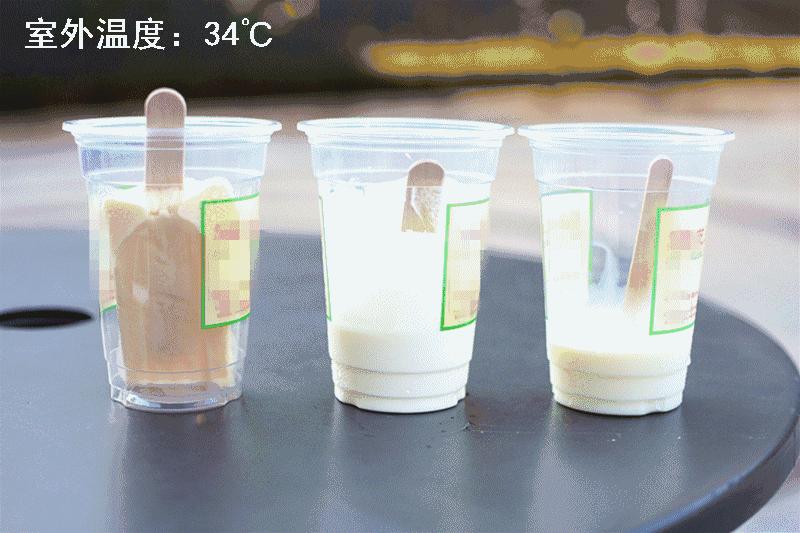 全国一年700家分店！这么丑的冰棍一周竟爆卖23W支！如今来温州啦~