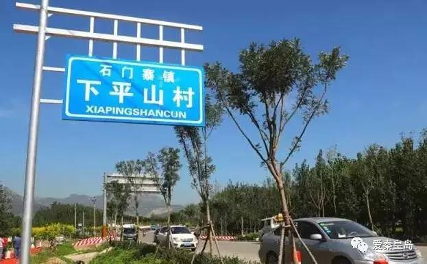 秦皇岛即将开的花海,秦皇岛最近的新花海