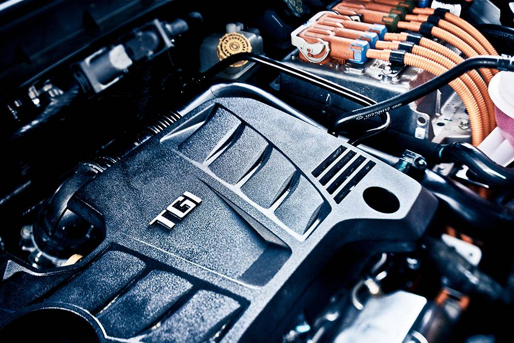 免费的午餐好吃吗,免费的午餐便宜吗