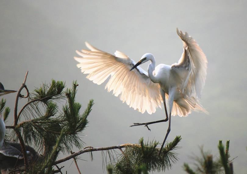 弓长岭夜景比较美的地方,弓长岭景色