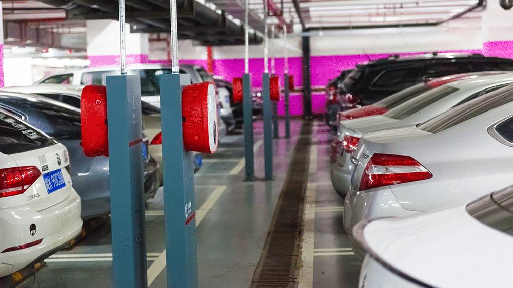 免费的午餐好吃吗,免费的午餐便宜吗