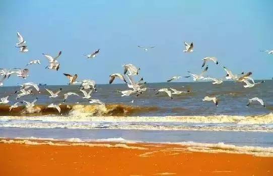 沈阳出发海岛旅游攻略,沈阳马尔代夫