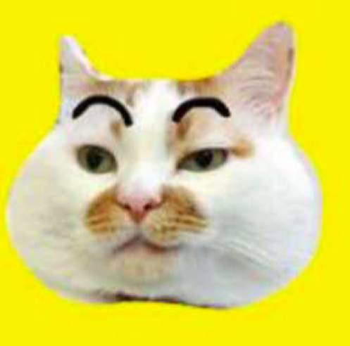 好物节福利,好利来周年庆员工礼品