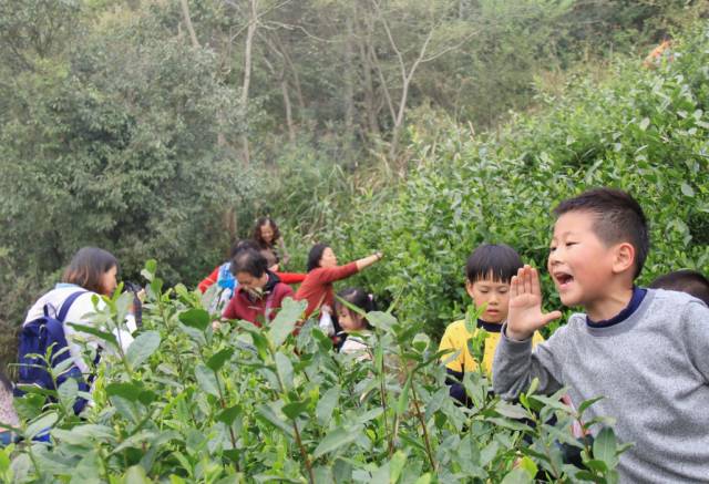 宁波北仑最好的地方,北仑有意思的地方