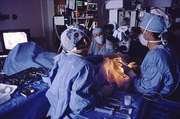 哈尔滨哪些免费的地方,今天哈尔滨哪里免门票