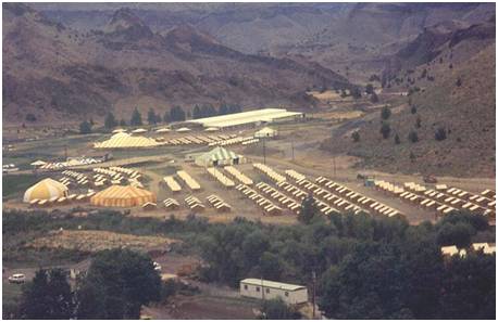 战狼2中的拉莫拉病毒，曾险些成为*教邪**的生化*器武**！