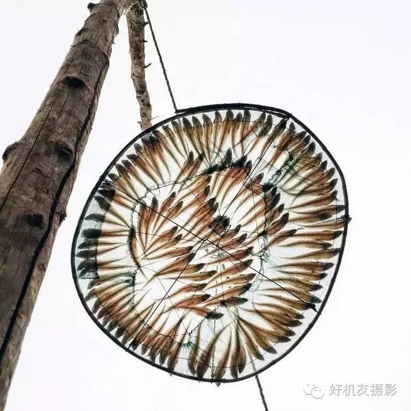 1分钟轻松搞定8个手机摄影技巧,想学一点入门的手机摄影技巧