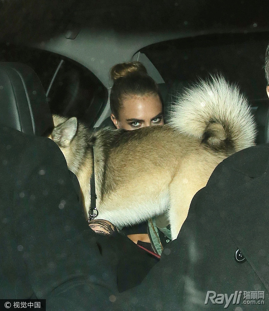 躲镜头迪丽热巴,躲镜头挑战综艺