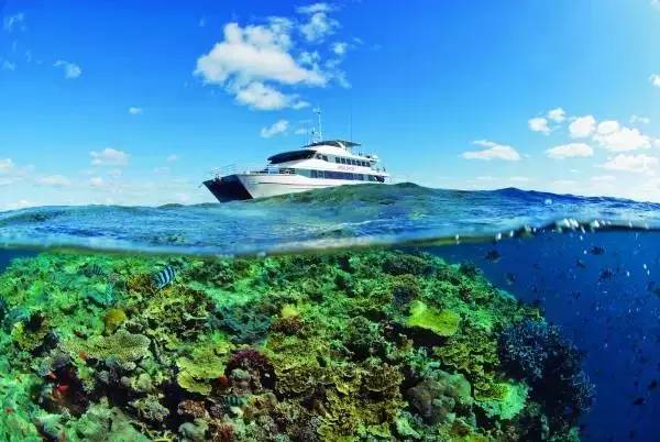 船宿潜水要什么水平,从零开始的潜水教练