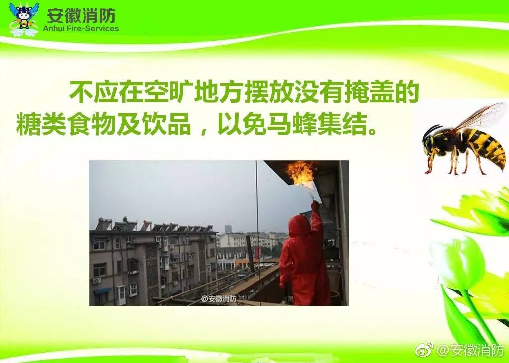 居民屋檐下惊现巨型马蜂窝,居民楼惊现马蜂窝消防队员一窝端