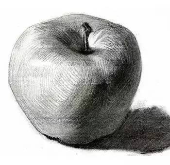 素描静物不会默写,素描不会画光影怎么办