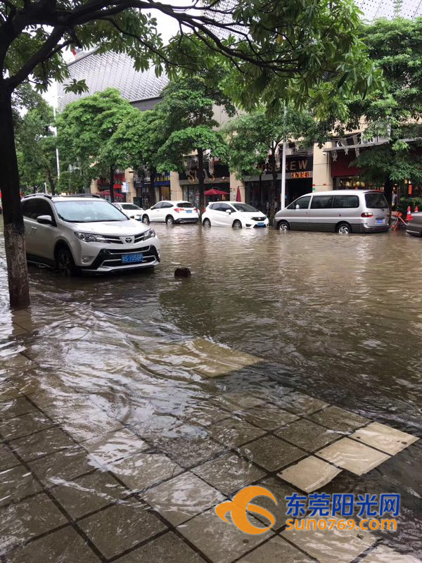 东莞市南城街道淹了没,东莞大雨哪几个镇不会被淹