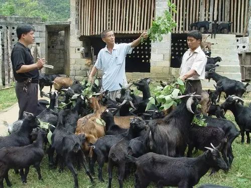 广西山清水秀风景视频,广西山清水秀的县