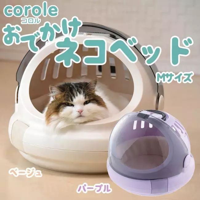 治愈系猫日常,治愈吸猫