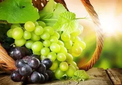 吃葡萄对眼睛有什么好处和坏处,吃葡萄柚子有什么好处和坏处