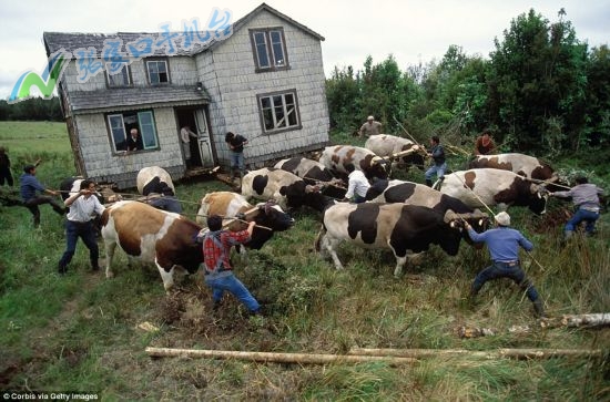张家口新闻广播今日头条,张家口9月7日天气情况