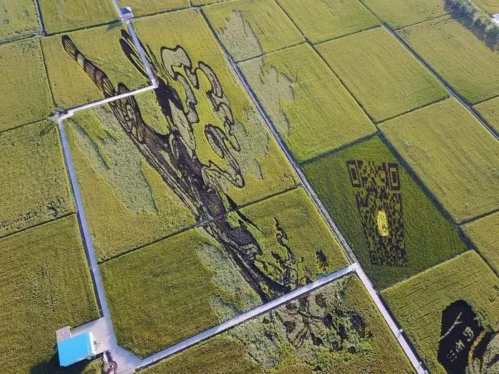 沈阳稻梦空间,沈阳稻梦空间星空