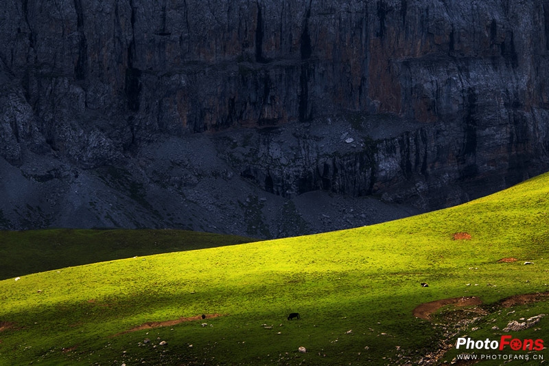一镜走天下腾龙镜头,一镜走天下18-200腾龙镜头