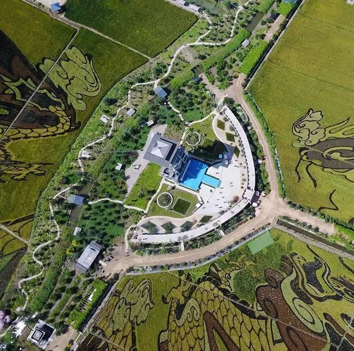 沈阳稻梦空间,沈阳稻梦空间星空