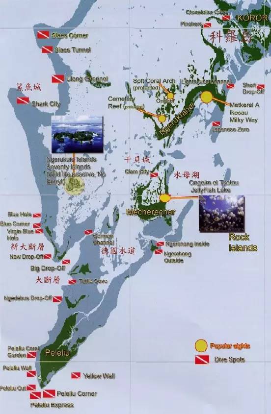 船宿潜水选哪里,从小白到潜水教练需要花多少钱