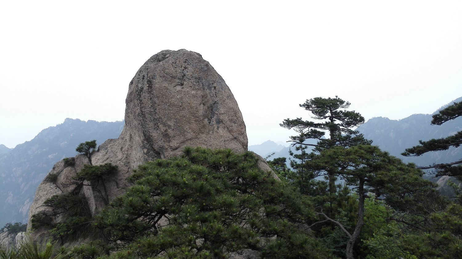 走近你就走进了痛苦出自哪里,走近你就是走近痛苦