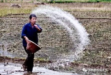 肥料行业基本知识,肥料配方的基本知识