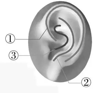 晚上睡前10分钟锻炼助眠,睡前减肚子和腰最快最有效的动作