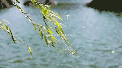 大局已定还要继续努力吗,大局已定扭转乾坤