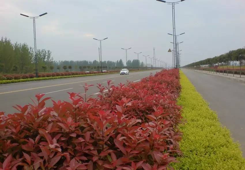 大局已定还要继续努力吗,大局已定扭转乾坤