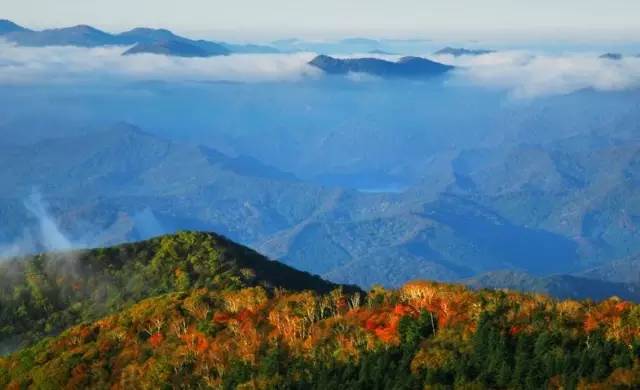 沈阳最美赏枫地最新开放,沈阳附近赏枫
