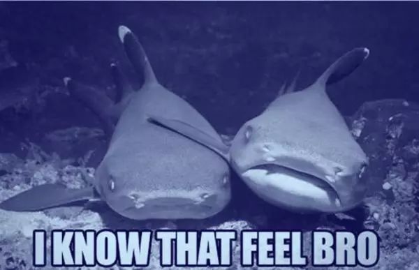 用完神仙水直接用防晒隔离可以吗,神仙水可以用来当防晒吗