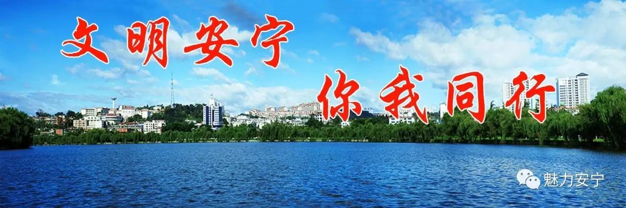 云南健儿奥运获金牌,云南健儿创亚运会历史佳绩