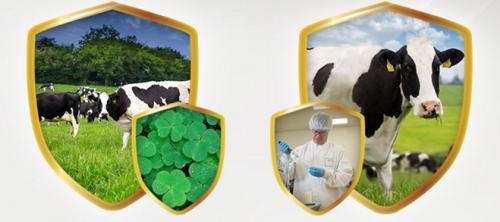 好奶粉一生相伴,好宝宝奶粉