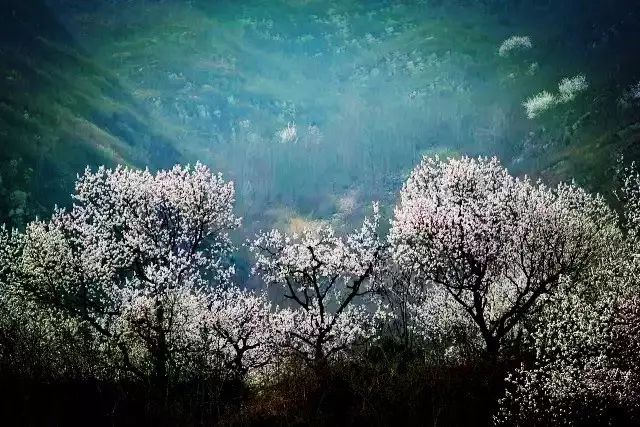 丰润景色好的地方,丰润景色最好的地方