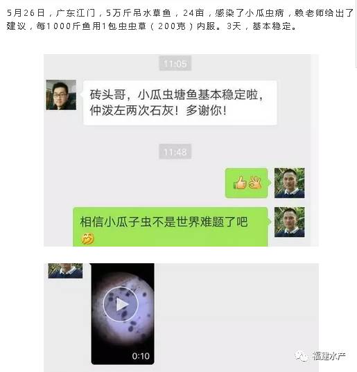 彻底清除小瓜虫,如何解决小瓜虫的妙招